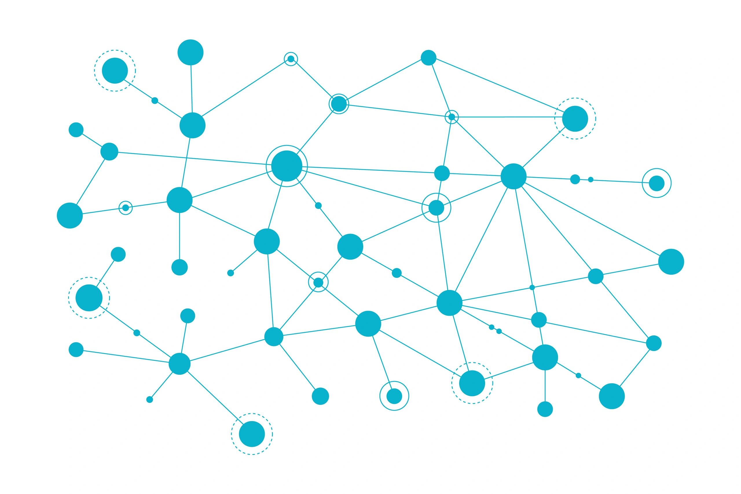 Network visualization representing knowledge graphs and vector search